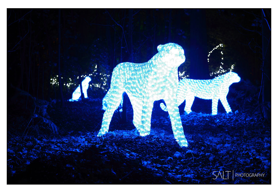 Harrogate Commercial Location Photographer