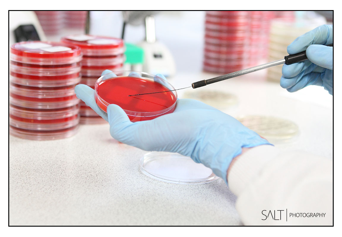 Digital Marketing Photography In Harrogate Leeds York