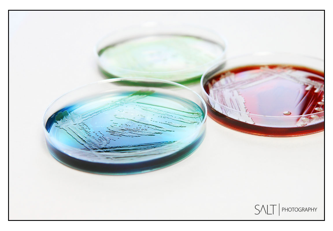 Digital Marketing Photographer In Leeds Area