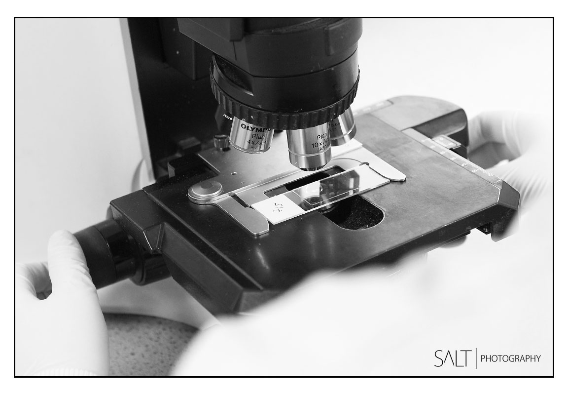 Digital Marketing Photography In York Area