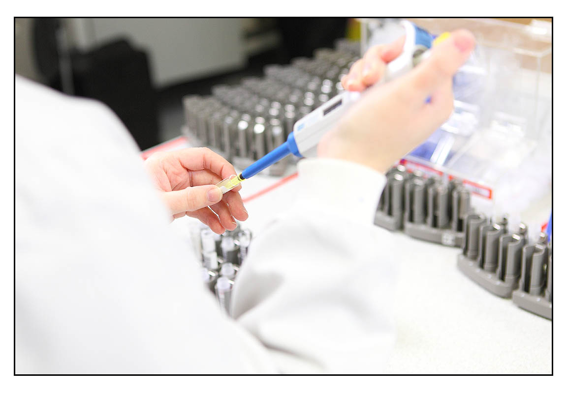 Harrogate Photographer Marketing Photography